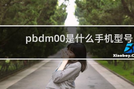 pbdm00是什么手机型号